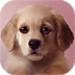 Logo of Puppy Lite android Application 